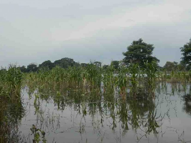 Desbordó el río ‘Chico’