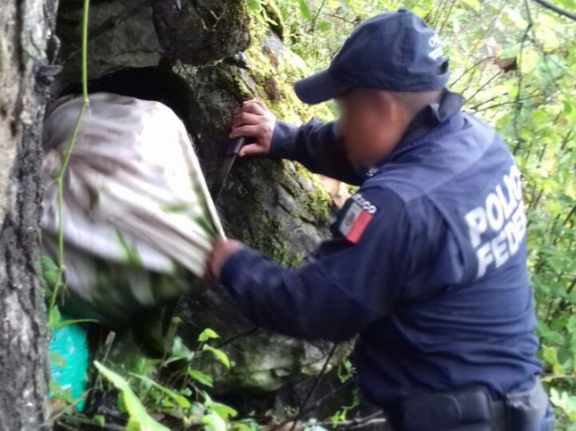 Hallan 100 kilos de droga oculta en una cueva