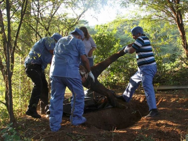 En dos días hallan 22 muertos en Guerrero