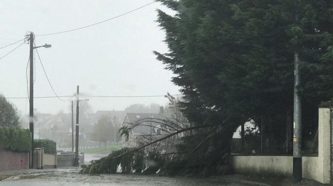 Ophelia golpea fuerte a Irlanda