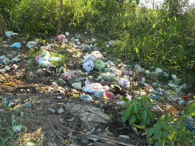 Basurero a cielo abierto peligro para habitantes