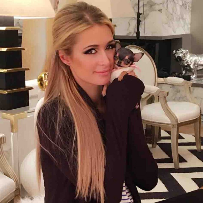 Paris Hilton se pone a salvo