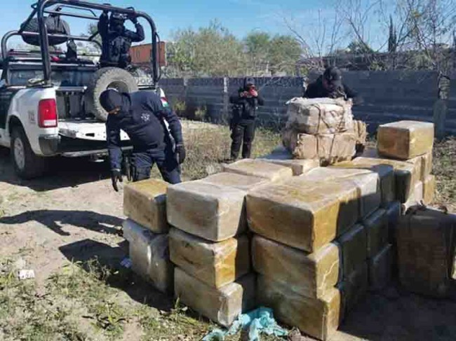 Decomisan más de 500 kilos de mariguana