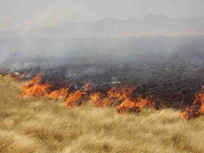 Sin equipo Protección Civil para enfrentar incendios