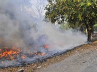 Superan incendios las 700 hectáreas