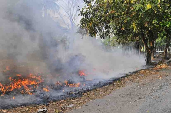 Superan incendios las 700 hectáreas