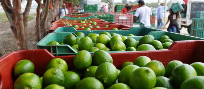 Proponen reforma  a la Ley Agrícola