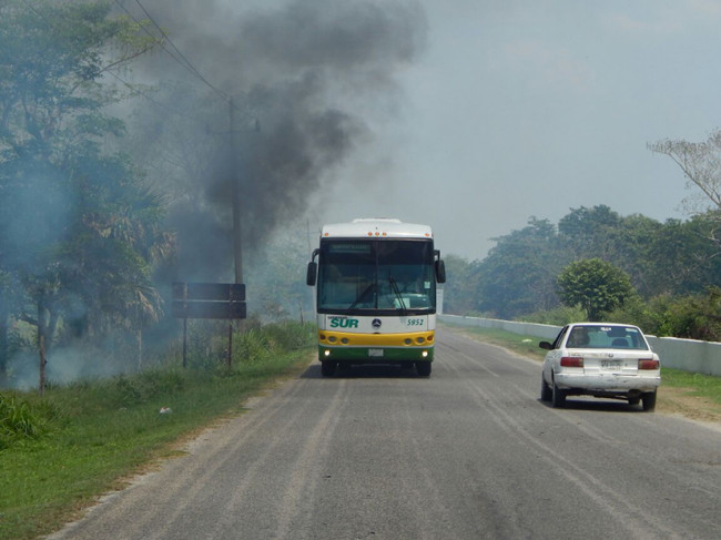 Incendios arrasan con  pastura en los ranchos