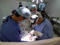 Exitosas cirugías  pediátricas de  corazón abierto