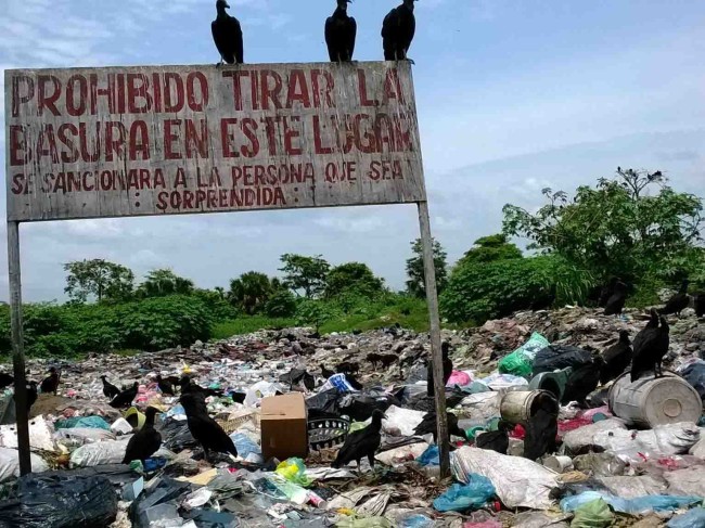 Basura acelera el cambio climático