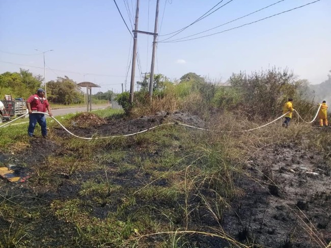 Irresponsables prendieron fuego a predio abandonado