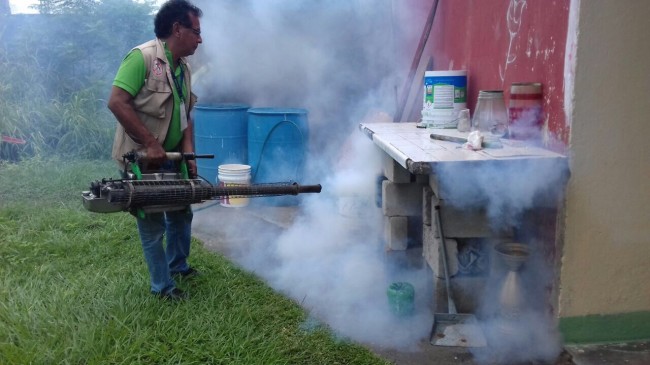 Arrancan acciones  preventivas contra  el dengue en Centro