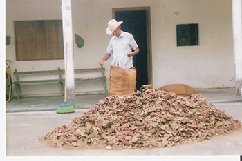 Lluvia ácida merma producción de copra