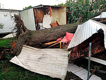 Tornados azotan Indiana y Ohio