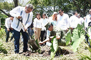 Es una “reconciliación con el medio ambiente”