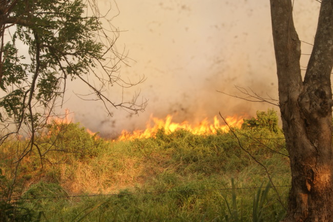 Intenso humo enferma a niños