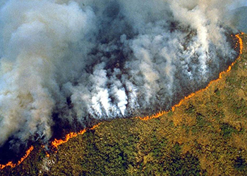 Brasil sin recursos  para frenar incendios