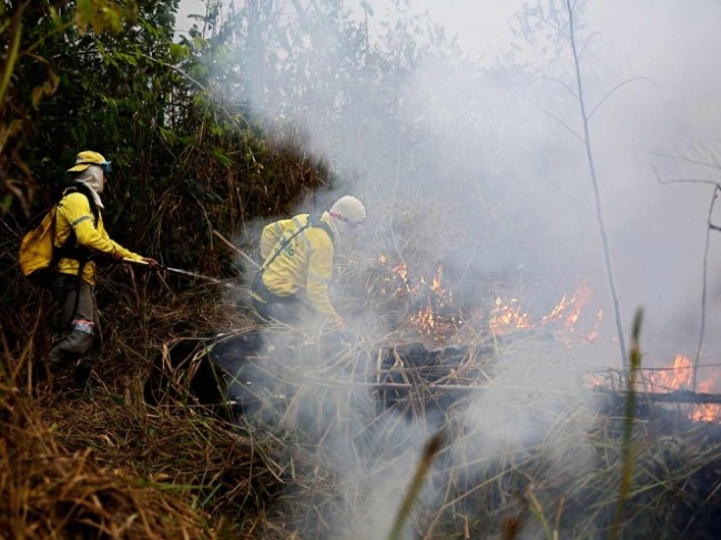 Prohíben las quemas en Brasil por dos meses