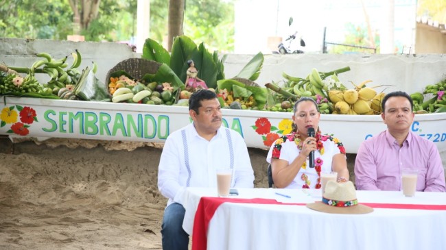 Deja Sembrando Vida derrama  de 300 mdp al mes en Tabasco