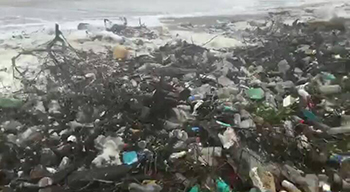 El mar arrojó mucha basura