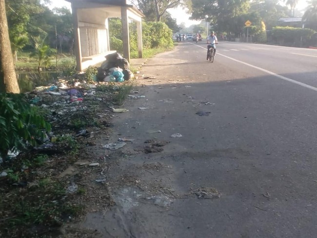 Pollería contamina el medio ambiente