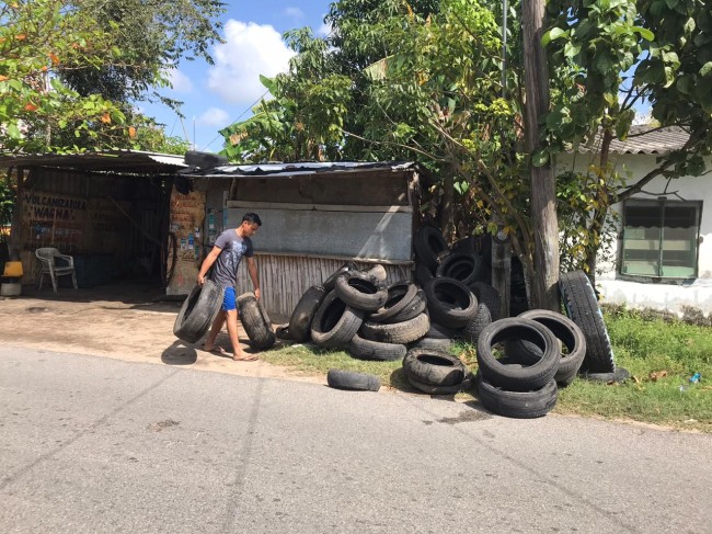 Destruye Salud 393  toneladas de llantas