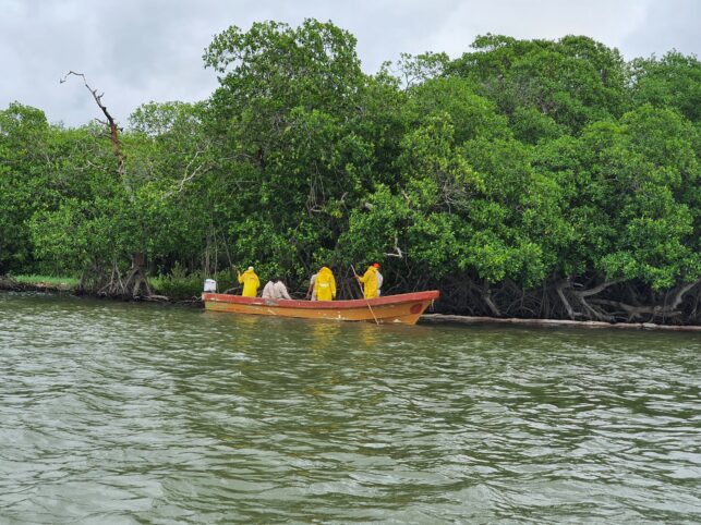 Concluye Pemex con limpieza en río Seco