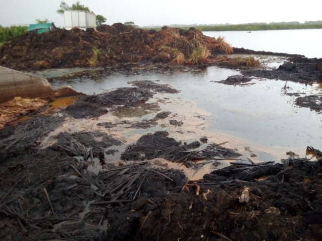 Continúa contaminación en zona lagunar de Tucta