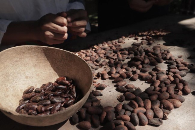 Producción de chocolate no se para: Parisot Wolter