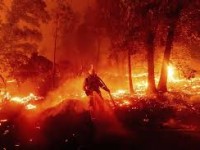 Letal el incendio en California