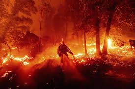 Letal el incendio en California