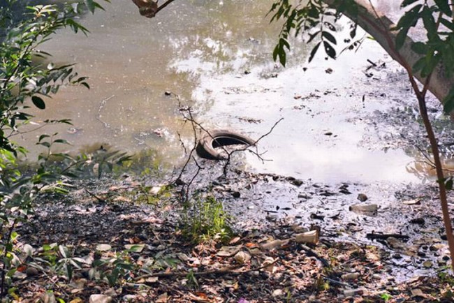 Mejorará el ayuntamiento calidad del agua en Centro