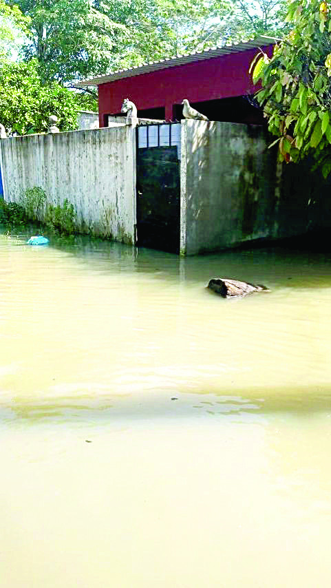 Continúan en  medio del agua