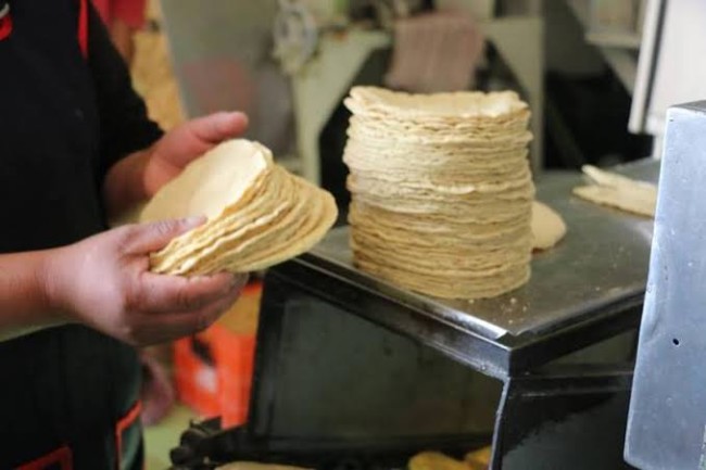 Sin incremento el kilo de tortilla para consumidores