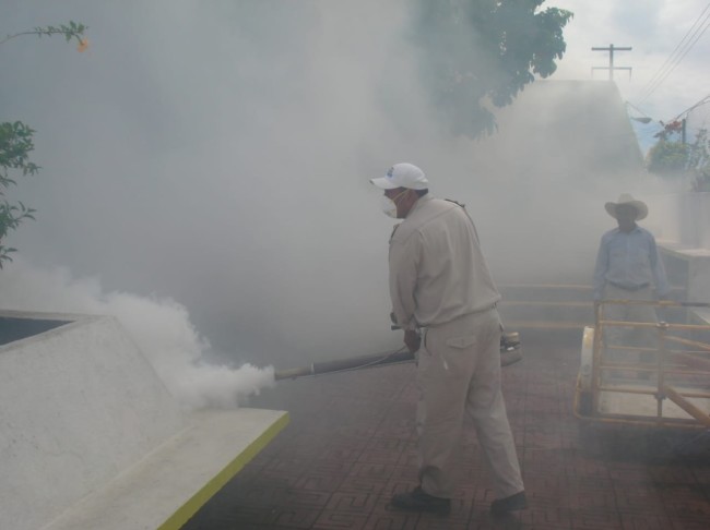 Alerta por nube de mosquitos en Jonuta