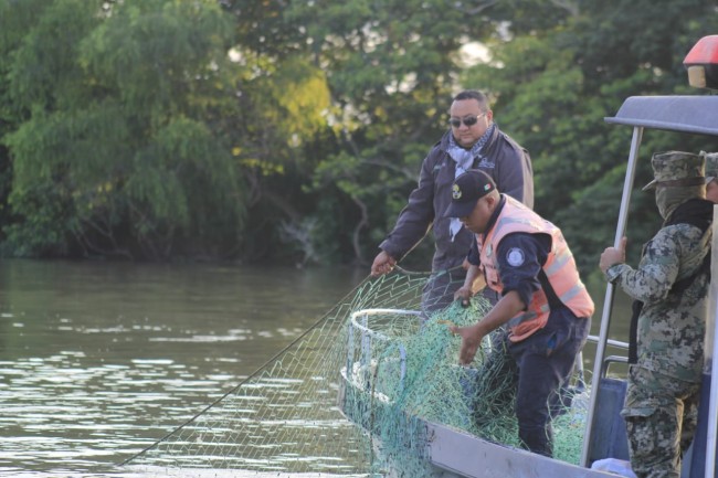 “Levantan” paños robaleros instalados en el río San Pedro