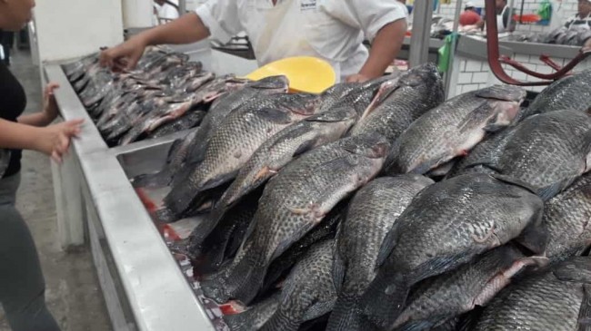 Aumenta el precio del pescado