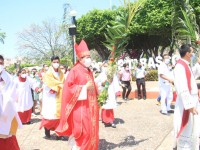 Cientos acuden a la Misa de Domingo de Ramos
