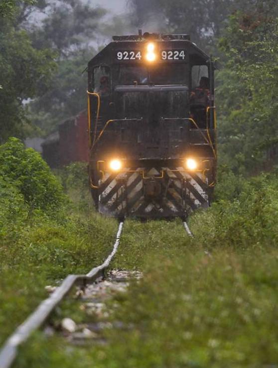 Gobierno federal impugna la suspensión de obras en Tramo 5 del Tren Maya