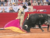 Suspende juez corridas de  toros en la Plaza México