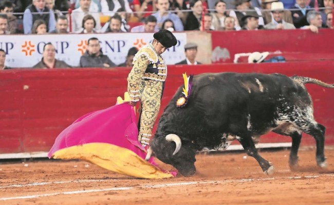 Suspende juez corridas de  toros en la Plaza México