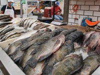 Se desploma la venta de pescados y mariscos