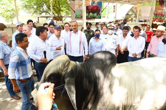 Prioriza gobierno el impulso al  sector ganadero: Carlos Merino