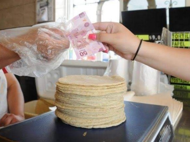 Hasta en 24 pesos se vende el kilo de la tortilla