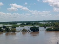 Desbordó el Usumacinta en zonas bajas de Jonuta