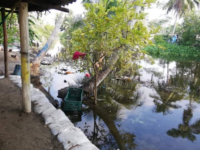 Más de 40 comunidades afectadas por las lluvias