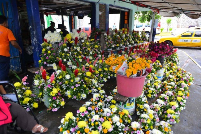 Buscan mantener precio de las flores