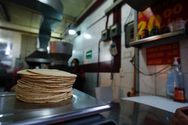 Nadie nos obliga a bajar  el precio de la tortilla