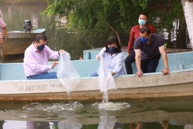 Contribuyen Centro y UJAT  a recuperar especies nativas