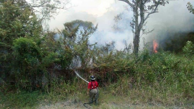 Incendios en pastizales son provocados: PC